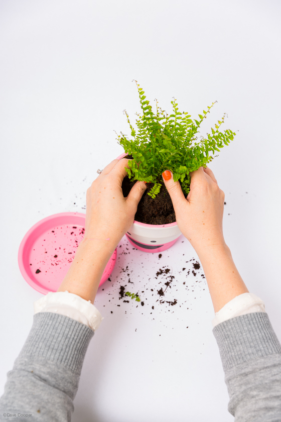 these adorable planters are so cute! They'd make a great gift