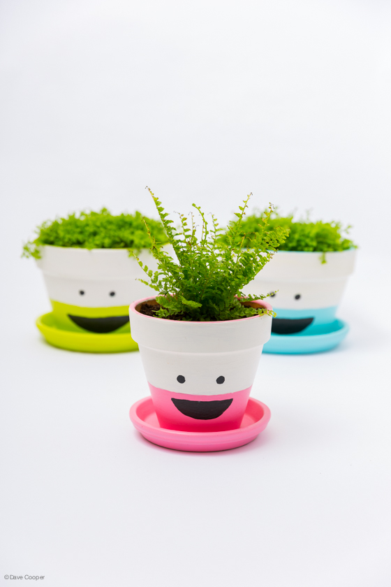 these flower pots are a cute and easy craft that boosts brain power!