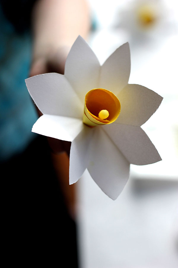 paper daffodil