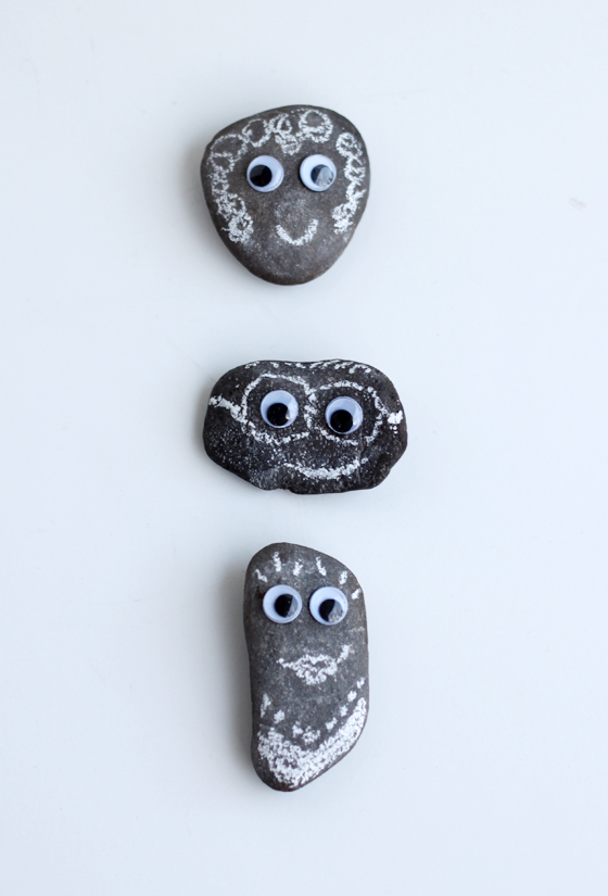 pet rocks