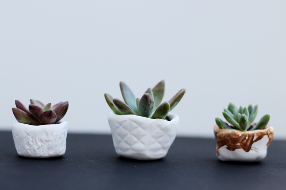 kids can make these succulent pots themselves