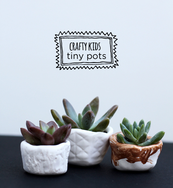 kids diy tiny pots for tiny succulents